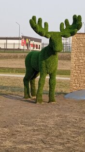  Лосяш из куста