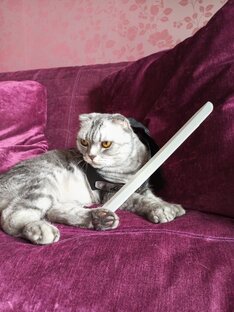 Сëма и Макар