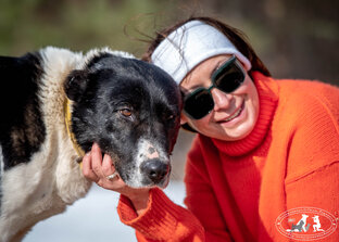 Ищут своего человека