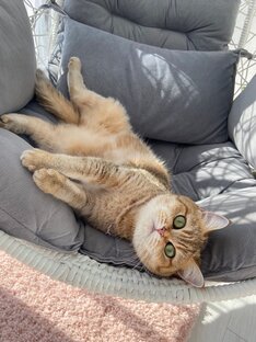 Смешные ролики 