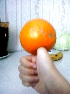 Знакомимся с подписчиками