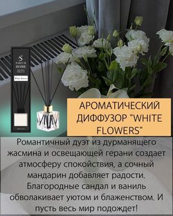 Ароматизатор для дома
