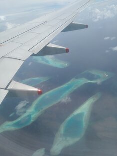 Шаги по свету