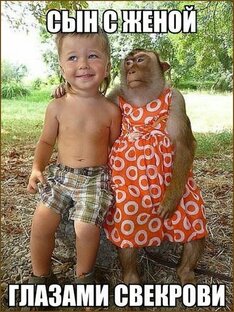 Смех до слёз.