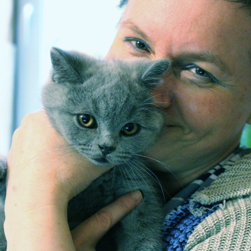 питомник silvery snow