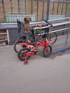 Всякое-разное. 