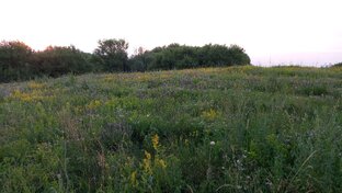 Путешествия