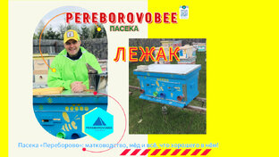 Лежак улей 