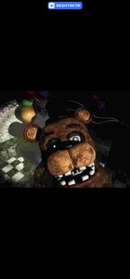 Свинтус припёрса 