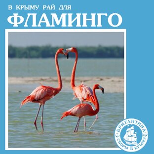 Животные Крыма