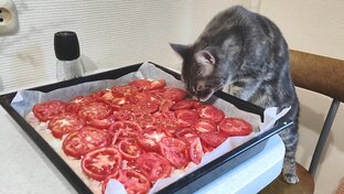 Готовим и едим.