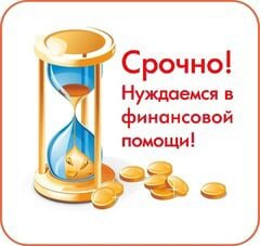 Рыбинск. Группы помощи бездомным животным.