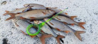 Зимняя рыбалка