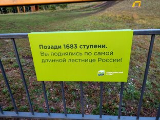 Интересные факты