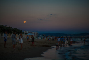 Путешествия.