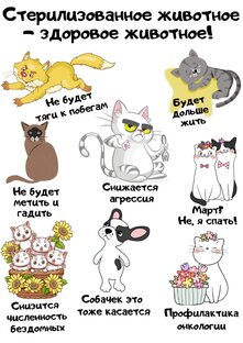 Стерилизация=Жизнь