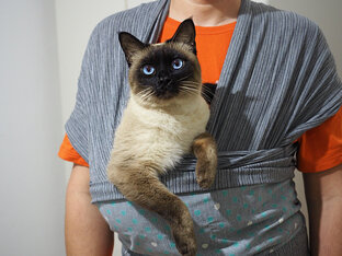 Пупся – Пупс