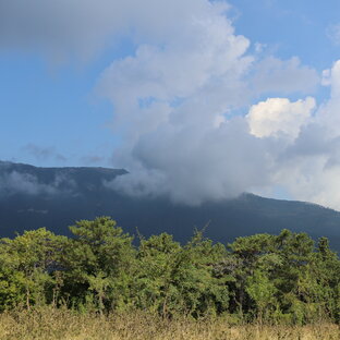 Жизнь на полуострове