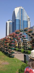 Поездка в Чечню