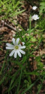 Юмор вокруг нас