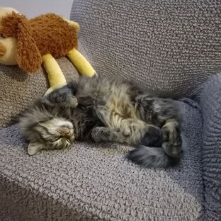 Дом и Приморье