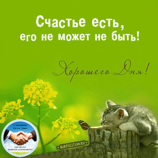 О здоровье разное