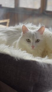 Наша история 