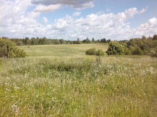 Размышляя о настоящем