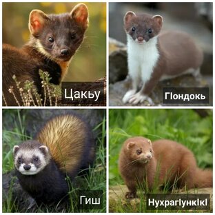 Слова — РагӀаби
