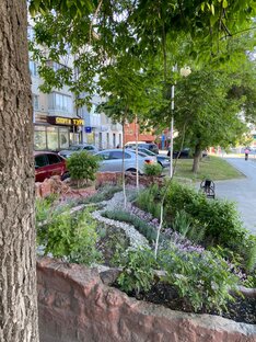 Газон под балконом превратила в цветущий садик