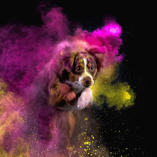 Краски Холи 