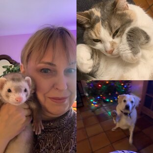 Живой уголок английского