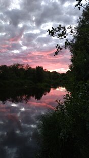 Немного правды