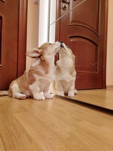 Малыш Марти👶