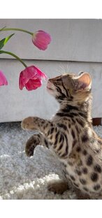 Стихи📕Прозы📚