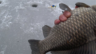 ЗИМНЯЯ РЫБАЛКА