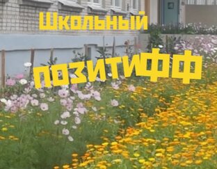 школьный позитиФФ
