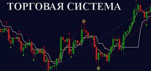 Торговая система
