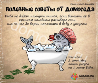 Полезные советы