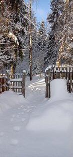 Там на снеженых тропинках... 