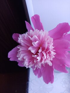 День Победы