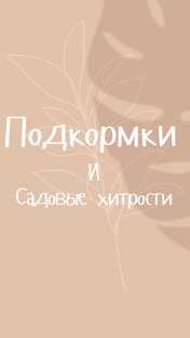 Подкормки и садовые хитрости