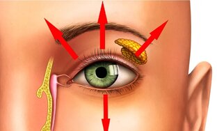 Молодость глаз