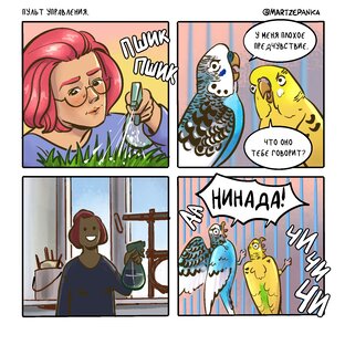 Комиксы про попугаев