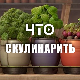 _РЕЦЕПТЫ КУХНИ_