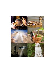 Забавные статьи истории из жизни 