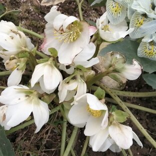 Обзор магазинов