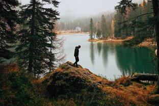 Темнота дремучая