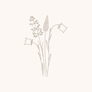 Обновления ☺️