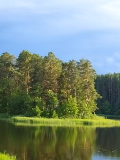 Санаторий " Лесные озера ". Беларусь. 